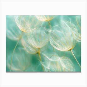 Dandelion 21 Canvas Print