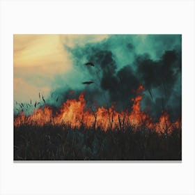 Fire of Burning Forest Fire in High Summer Canvas Print