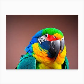 Colorful Parrot Canvas Print