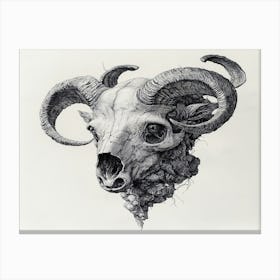 Ram Skull on White Canvas Print