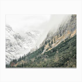 Forest Climbing Mountain Canvas Print
