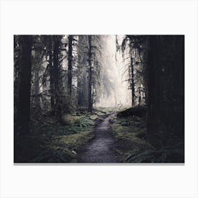 Finding Heaven - Olympic National Park Forest Canvas Print