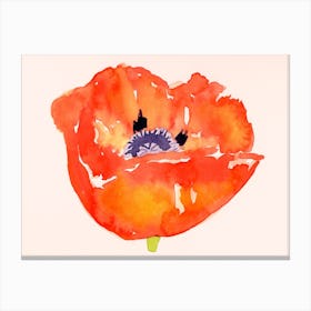 Red Poppy Painting Canvas Print