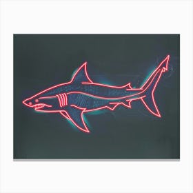 Neon Zebra Shark 2 Canvas Print