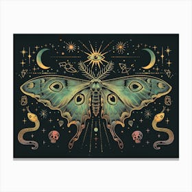 Moth Illustration 5 Canvas Print