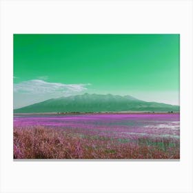 Green Mt Blanca over Lake of Pink Flowers Canvas Print