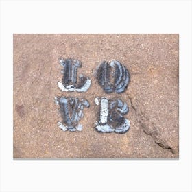 Love sign on a Stone Canvas Print