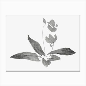 Hokusai Orchids Canvas Print