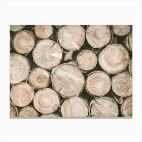 Firewood Logs Canvas Print