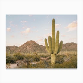 Saguaro Desert Canvas Print