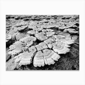 Salt In The Danakil Depression In Ethiopia In Africa Canvas Print