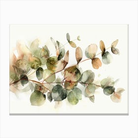 Eucalyptus Leaves 7 Canvas Print