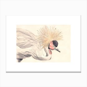 Crowned Crane Canvas Print