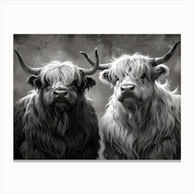 Highland Cows 5 Canvas Print