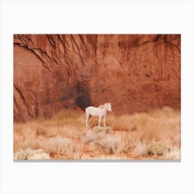 White Desert Horse Canvas Print