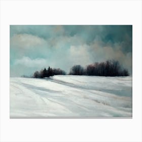 A Cold Day In January Canvas Print