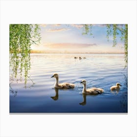 Swans On The Lake Canvas Print