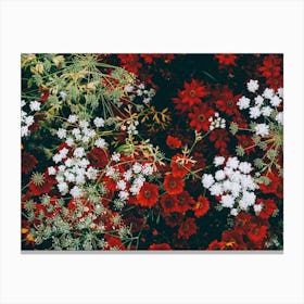 Red And White Flowers Canvas Print