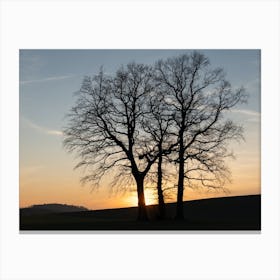 Silhouette of trees at sunset 1 Canvas Print