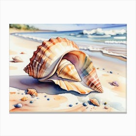 Seashell on the beach, watercolor painting 19 Canvas Print