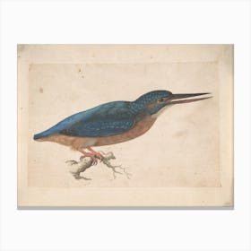 Kingfisher Vintage Painting Canvas Print