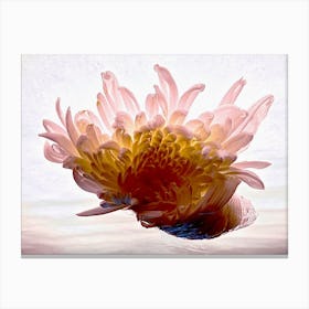 Floating Pink Canvas Print