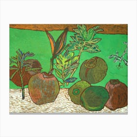 Coconuts On The Ground Canvas Print