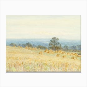 Field Of Hay Canvas Print