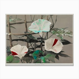 Morning Glory, Hand Colored Collotype From Some Japanese Flowers (1896), Kazumasa Ogawa Canvas Print