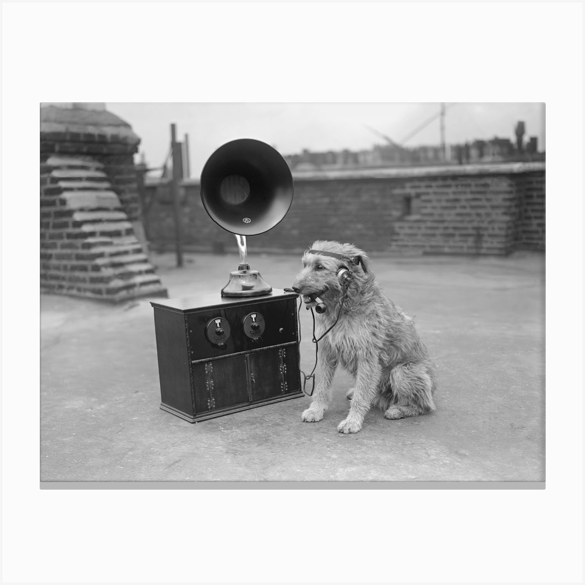 Dog Listening To Music, Dog With Radio, Vintage Black and White Old Photo Canvas Print by Vibrant Vintage