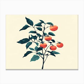 Tomato Plant Canvas Print