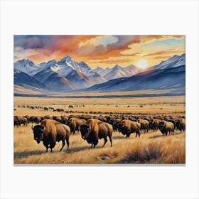 Herd Of Bison Grasslands Canvas Print