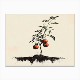 Tomato Plant 2 Canvas Print