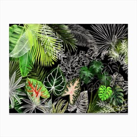 Tropical Foliage 4 Canvas Print