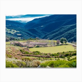 Vineyard In The Mountains 20181223 39ppub Canvas Print