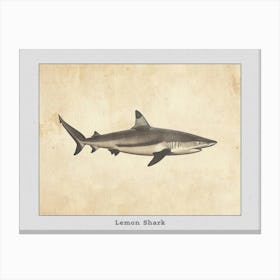 Lemon Shark Silhouette 3 Poster Canvas Print