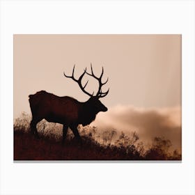 Elk Silhouette Canvas Print