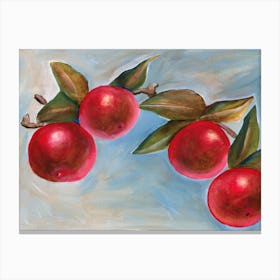 Apples branch Study painting realistic classical figurative academic old masters fine art food kitchen art Canvas Print