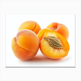 Apricots 15 Canvas Print