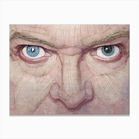 David Bowie Eyes Canvas Print