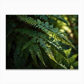 fern leaf 2 Canvas Print