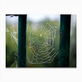 Tangled Webs Canvas Print