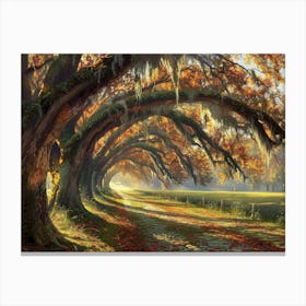 Autumn Trees 41 Canvas Print