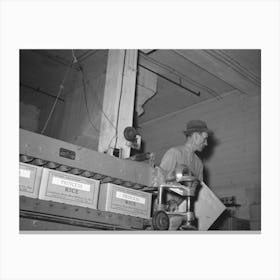 Removing Finished Cartons Of Packaged Rice From Conveyer Presser,State Rice Mill, Abbeville, Louisiana By Russell Lee Canvas Print