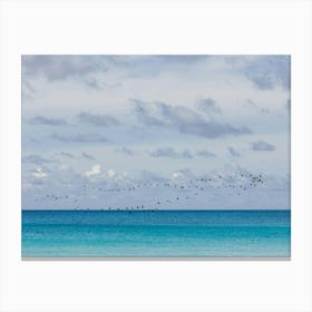 Birds Flying Over The Blue Ocean Canvas Print