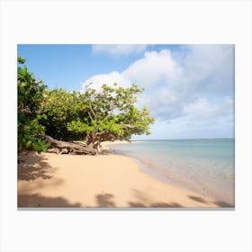 Hawaiian Beach 1 Canvas Print