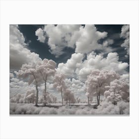 Infrared Clouds Canvas Print