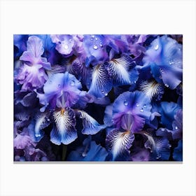 Blue Iris Flowers 1 Canvas Print