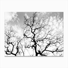 Bare Tree With Cloudy Sky Canvas Print