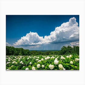 A Vast Landscape View Under A Dramatic Cloudscape Cumulus Clouds Towering Sunlight Battling The Ov (3) Canvas Print